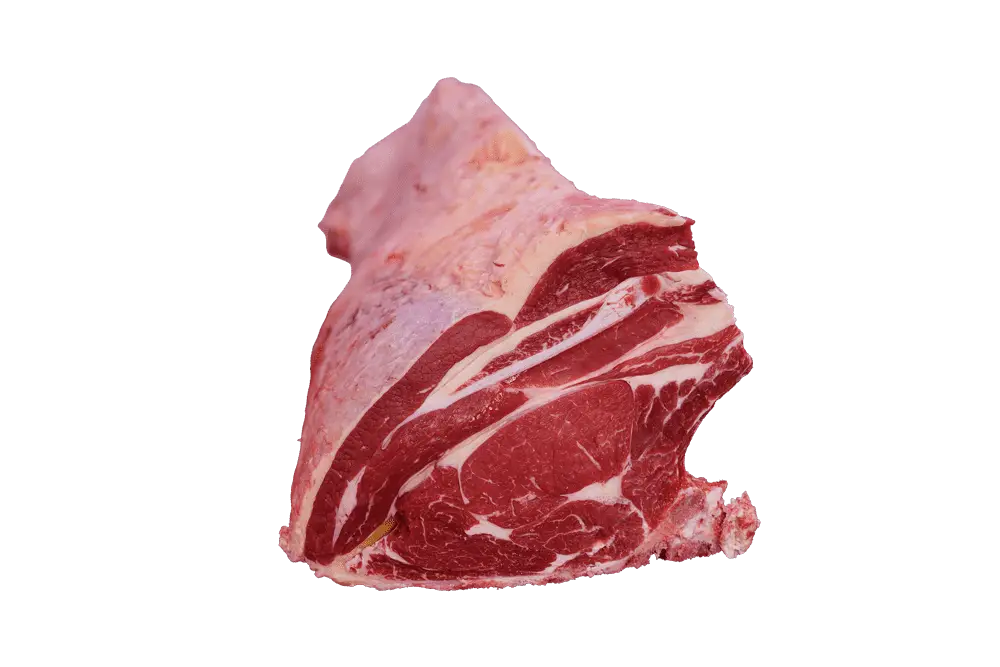 06-Lomo-Hembra-final-1