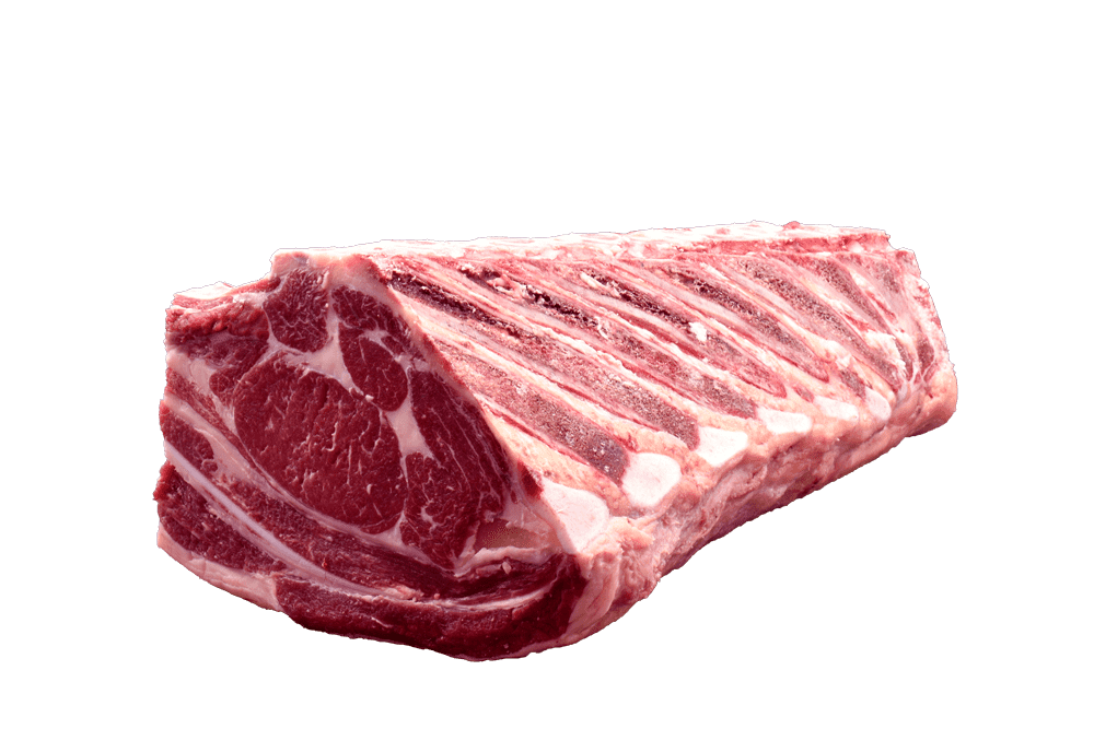 8-Costillas-Hembra-2