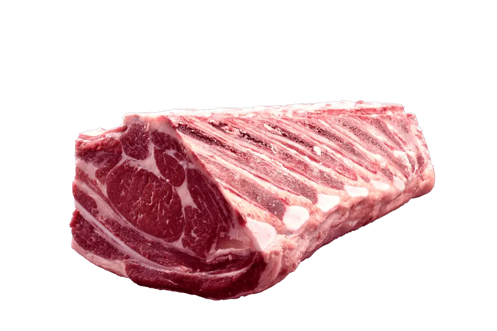 8-Costillas-Hembra-2