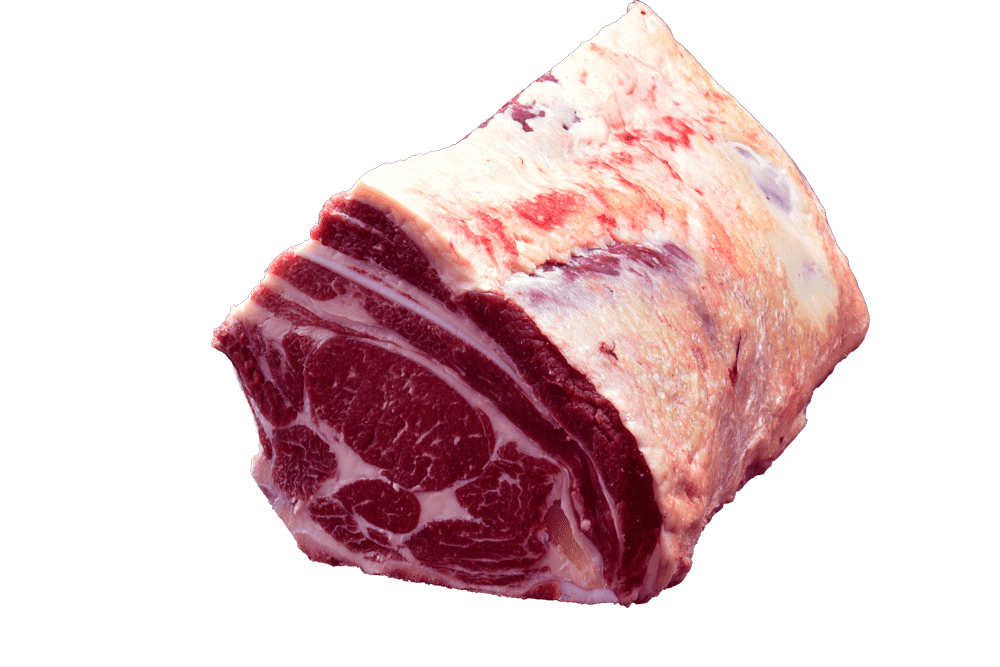 8-Costillas-Hembra-3
