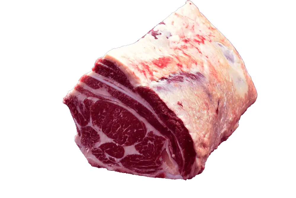 8-Costillas-Hembra-3