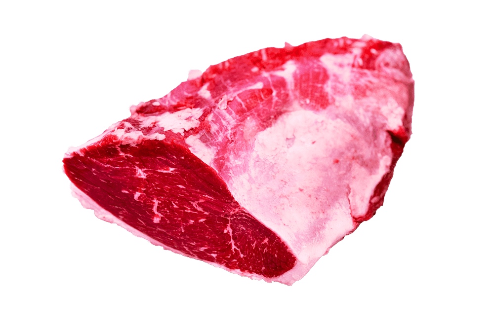 Picaña-Hembra-new
