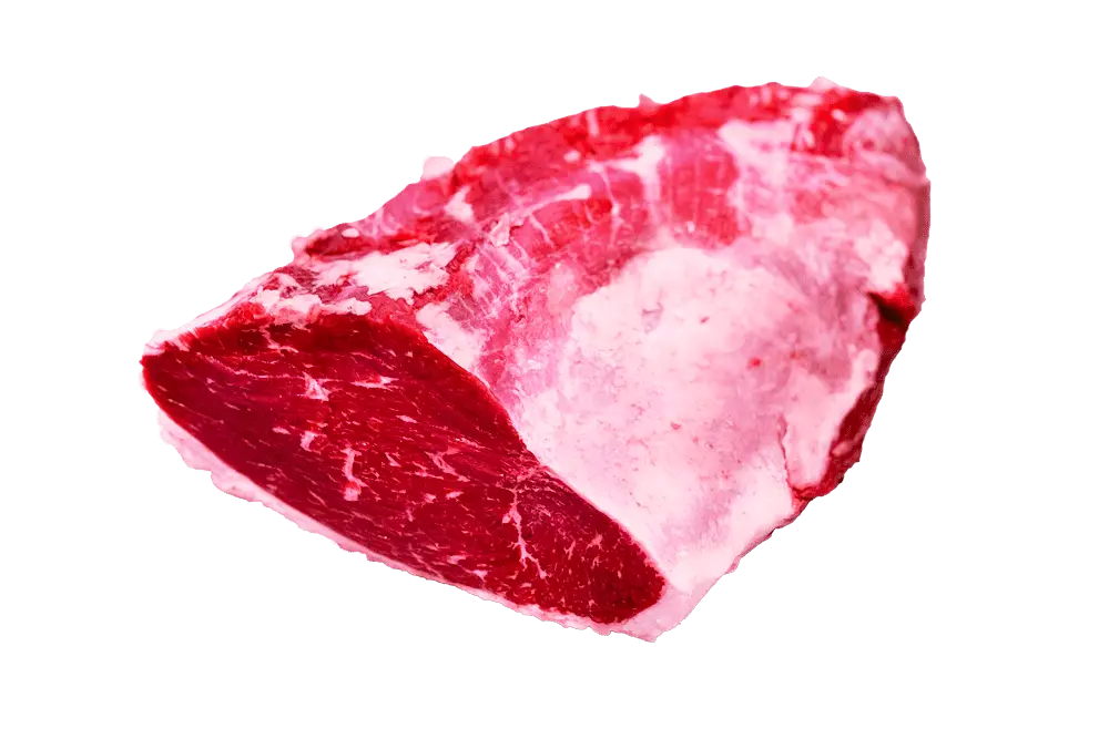 Picaña-Hembra-new
