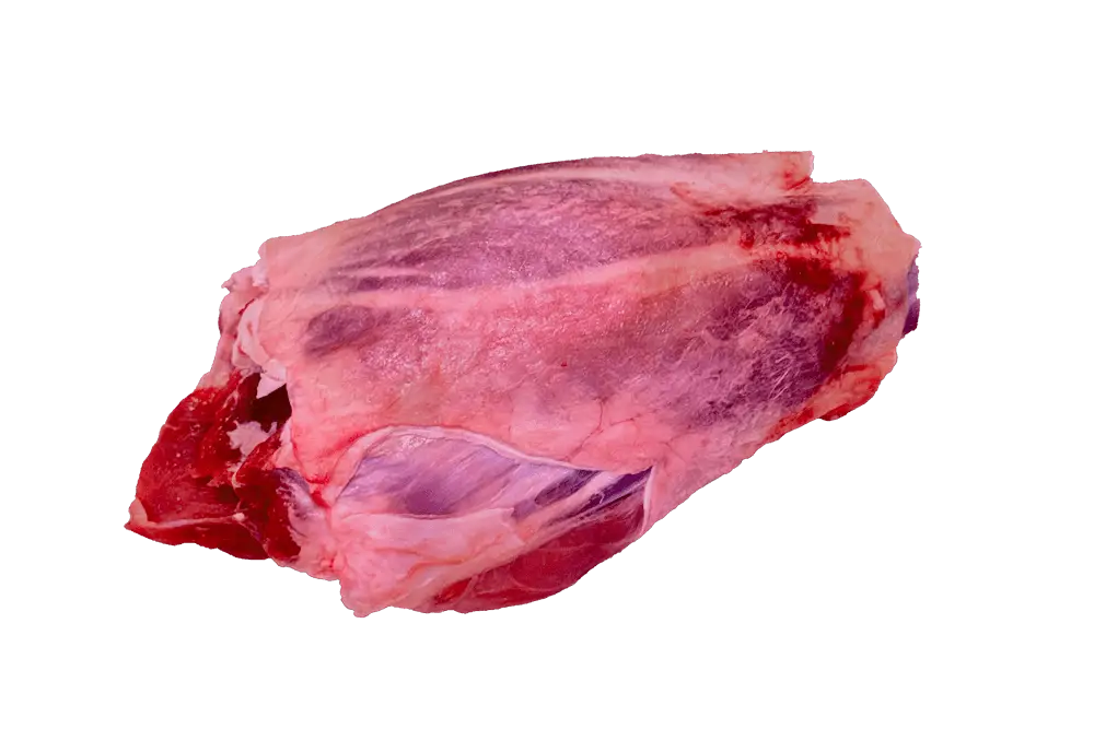 morcillo-delantero-hembra-2